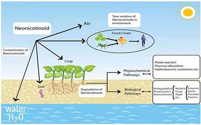 Microbial Technologies Employed for Biodegradation of Neonicotinoids in the Agroecosystem